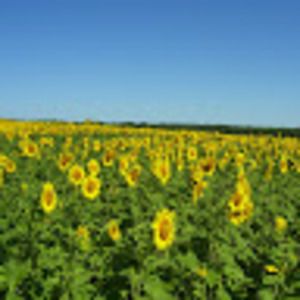 Meet your Posher, Stanislaus